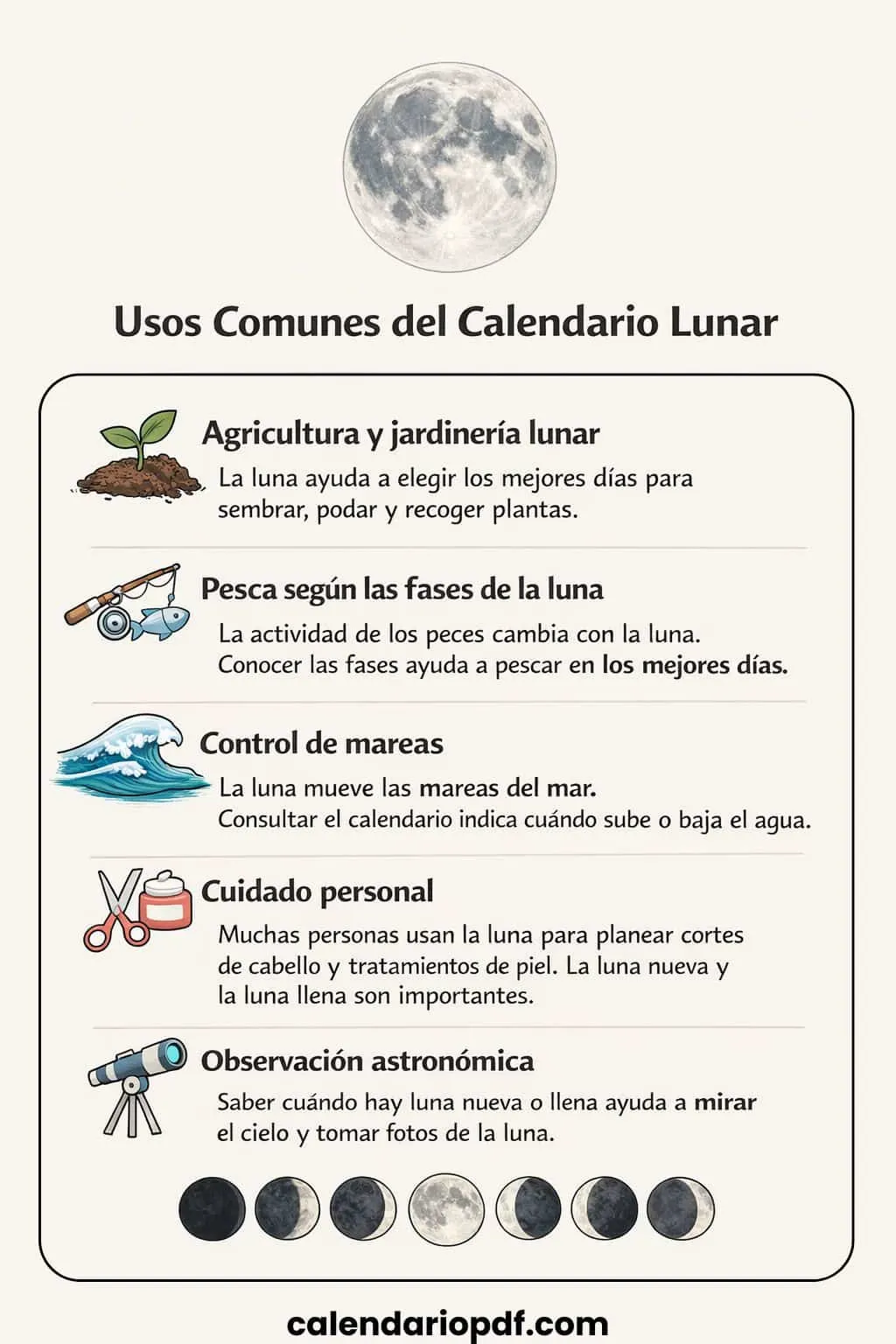 Lunar Calendar 2026 Usos comunes del calendario lunar
